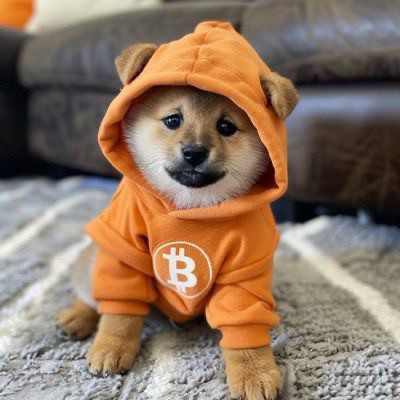 $DOG • The #1 Meme on BTC