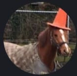 Alex Grover (LuxAlgo)